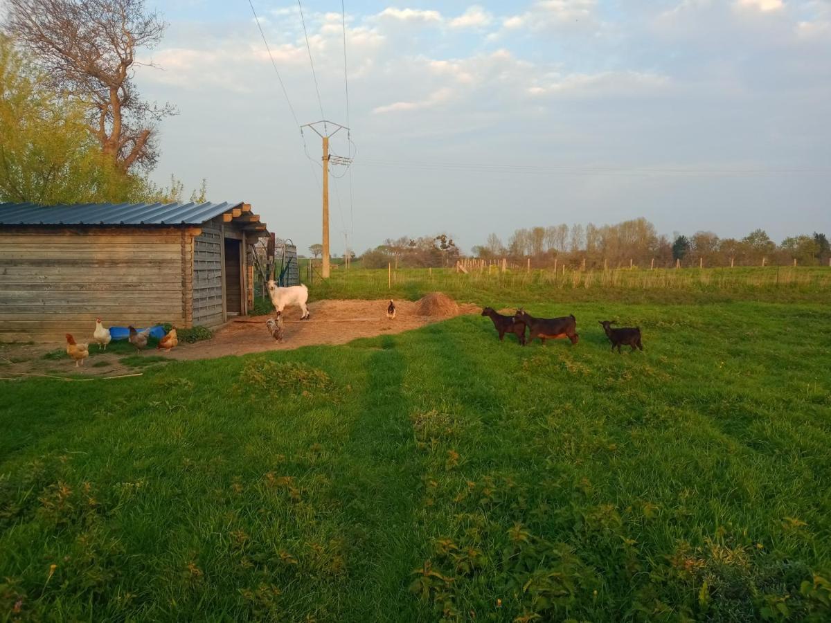 La Ferme D' Emerentine Bacilly 外观 照片