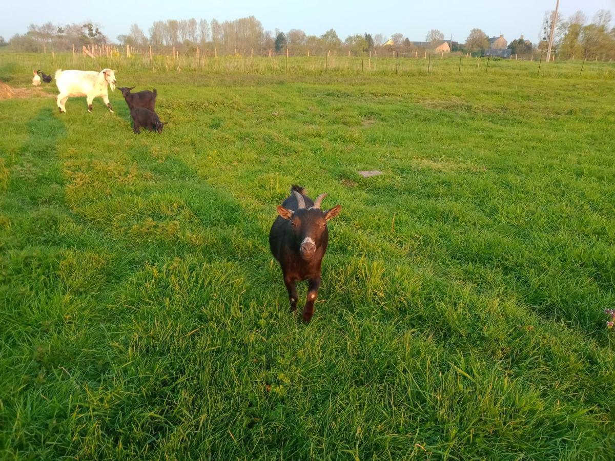La Ferme D' Emerentine Bacilly 外观 照片